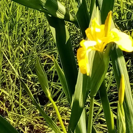 Maison De Caractere 12 Pers, Nature & Confort, Proche Ski, Peche Possible - Fr-1-589-40 Nyaraló