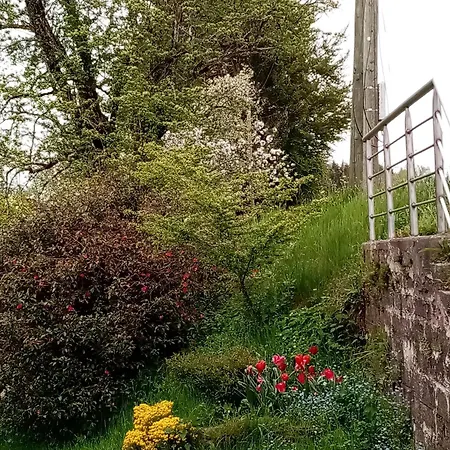 Maison De Caractere 12 Pers, Nature & Confort, Proche Ski, Peche Possible - Fr-1-589-40