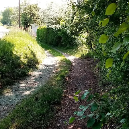 Hébergement de vacances Bellefontaine, 6 Pièces, 12 Personnes - Fr-1-589-40 Bellefontaine (Vosges)