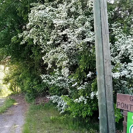 Maison De Caractere 12 Pers, Nature & Confort, Proche Ski, Peche Possible - Fr-1-589-40