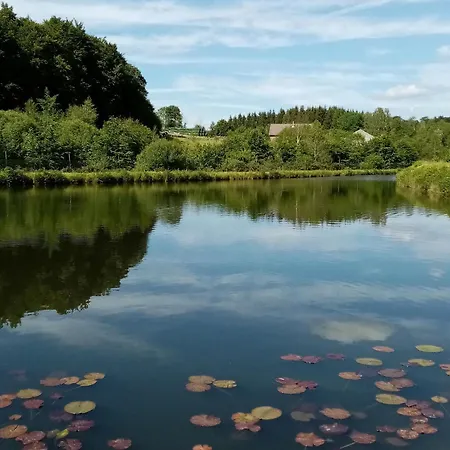 Hébergement de vacances Maison De Caractère Pour 12, Proche Gérardmer&thermes, Nature Et Confort - - Fr-1-589-40 *