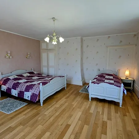 Maison De Caractère Pour 12, Proche Gérardmer&thermes, Nature Et Confort - - Fr-1-589-40 Hébergement de vacances *