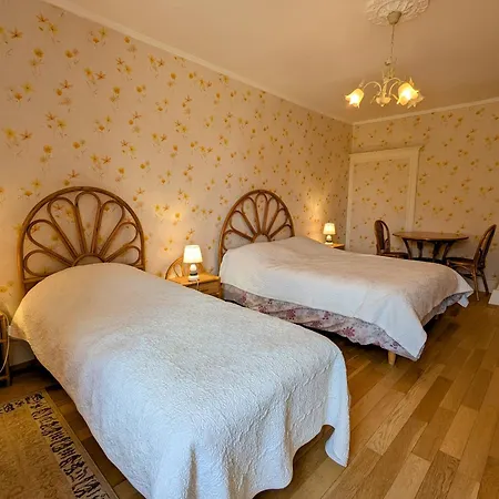 Maison De Caractere 12 Pers, Nature & Confort, Proche Ski, Peche Possible - Fr-1-589-40 Nyaraló