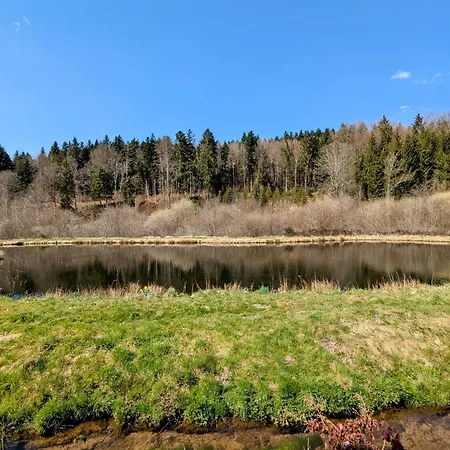 Maison De Caractère Pour 12, Proche Gérardmer&thermes, Nature Et Confort - - Fr-1-589-40 Hébergement de vacances Bellefontaine (Vosges)
